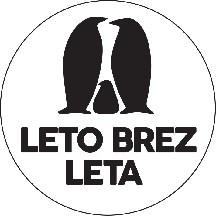 Leto brez leta
